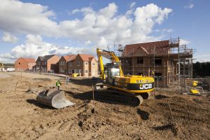 melton view 11 sm.jpg